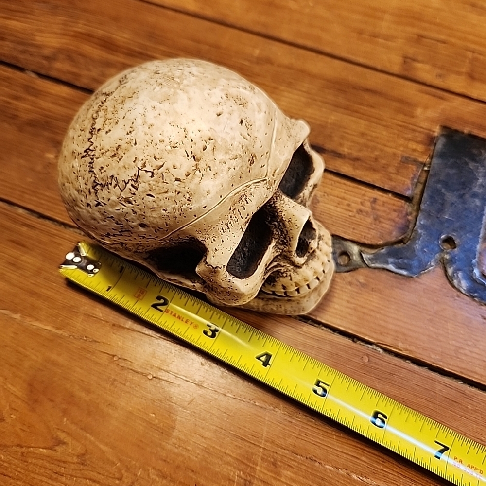 Vintage Skull Ashtray Trinket Removeable Cranium Figural Hidden Secret Sneaky - Picture 9 of 9